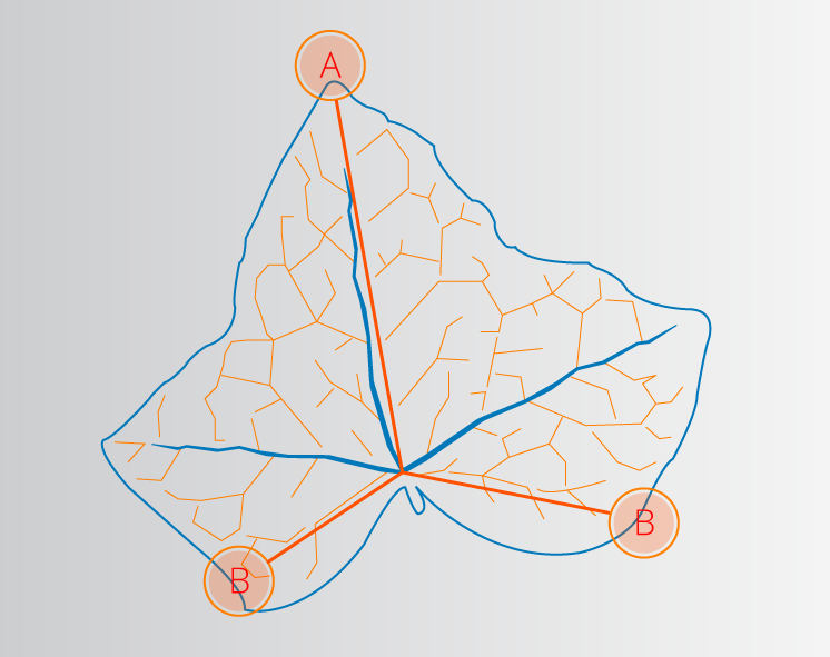 Illustration und Grafik